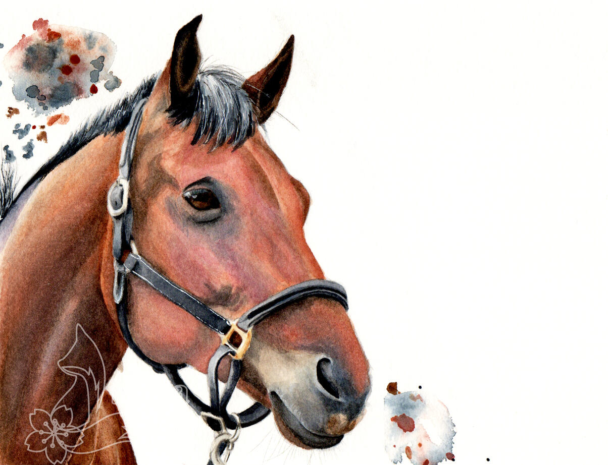 Horse Horse